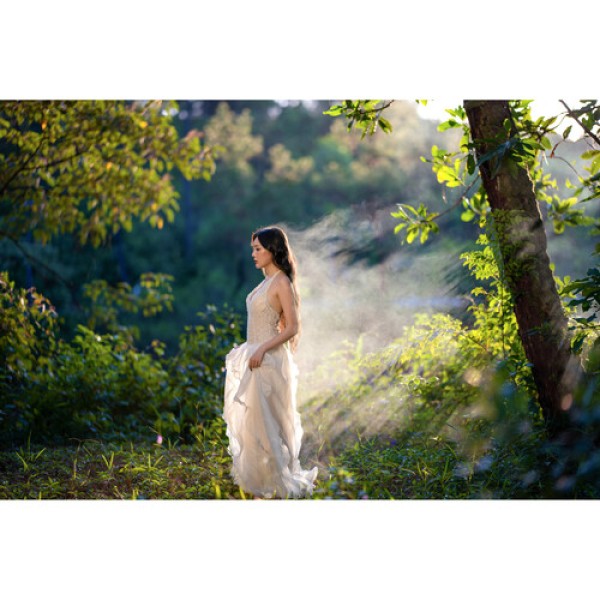 Sigma 85mm f/1.2 DG Art Lens For Mirrorless Camera
