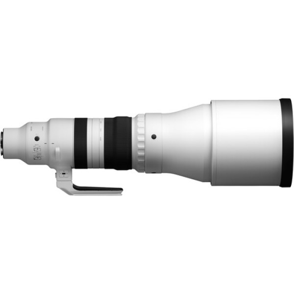 Sigma 300-600mm f/4 DG OS Sports Lens